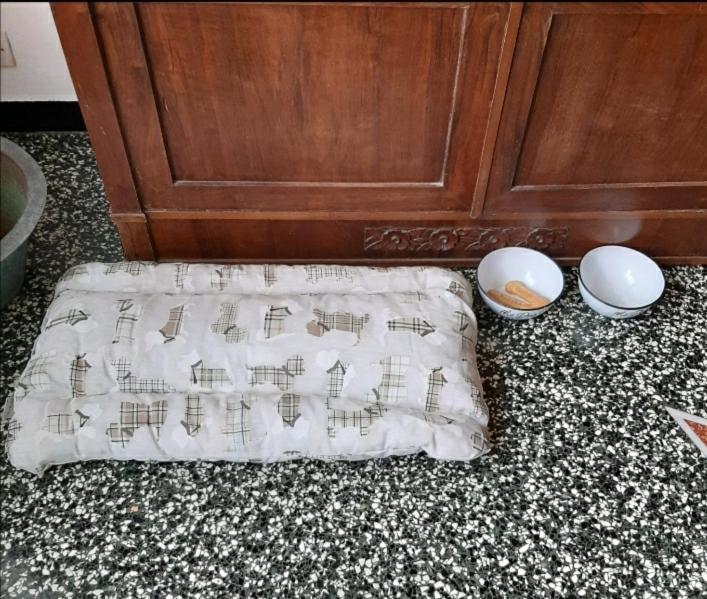 דירות Serra Rocco La Tana Dei Conigli מראה חיצוני תמונה